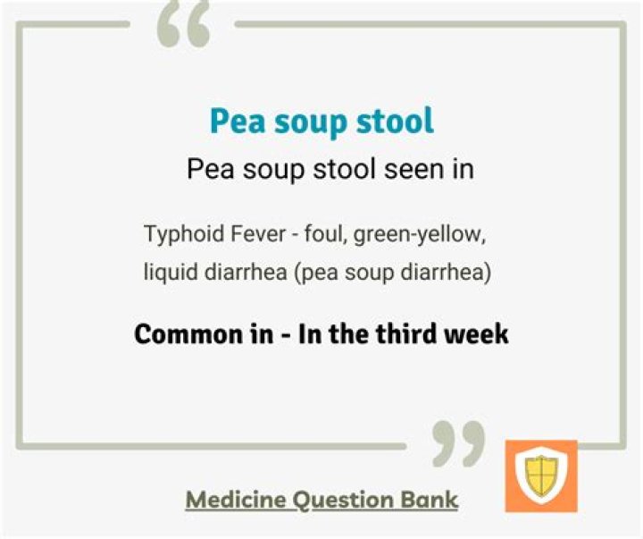 an I eat miso soup with diarrhea? check it out – miso soup diarrhea