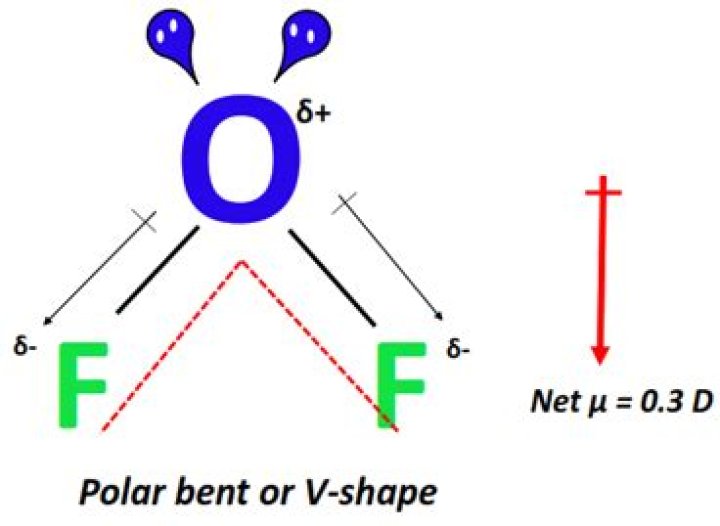 s COF2 asymmetrical? check it out – cof2 polar or nonpolar